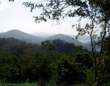 Landscape on Linapacan