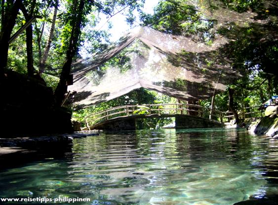 Ardent hot springs